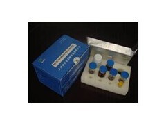 人血栓素B2检测试剂盒厂家/报价_供应产品_上海钰博生物科技