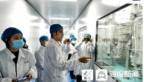 石药集团烟台生物医药高科技产业园 全国最大的生物医药产业化基地